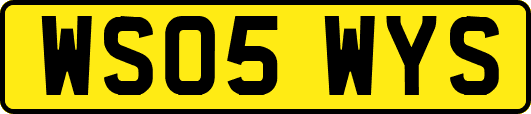 WS05WYS