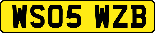 WS05WZB