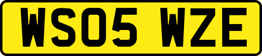 WS05WZE