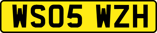 WS05WZH