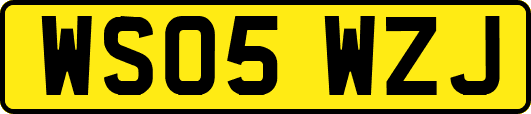 WS05WZJ