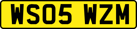 WS05WZM