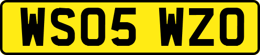 WS05WZO