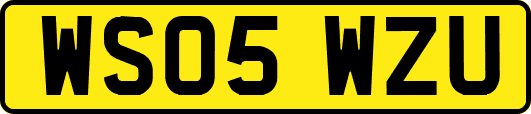WS05WZU