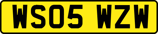 WS05WZW