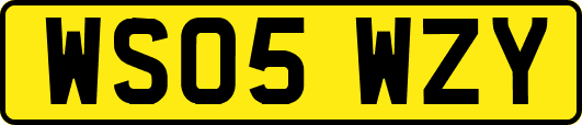 WS05WZY