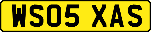 WS05XAS