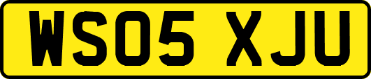 WS05XJU