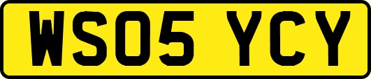 WS05YCY