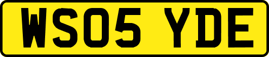 WS05YDE