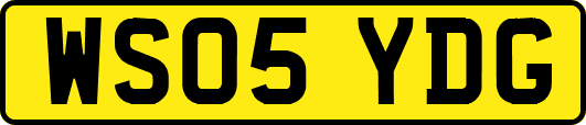 WS05YDG