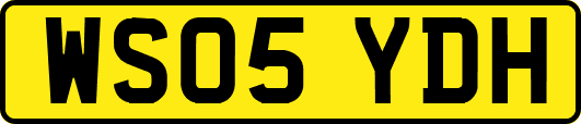 WS05YDH
