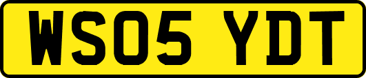 WS05YDT