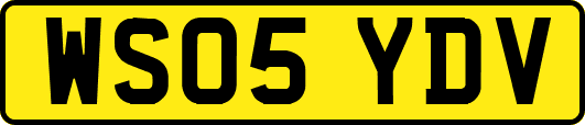 WS05YDV