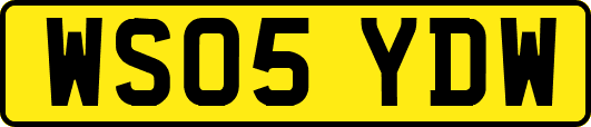 WS05YDW