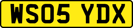 WS05YDX