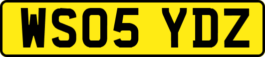 WS05YDZ
