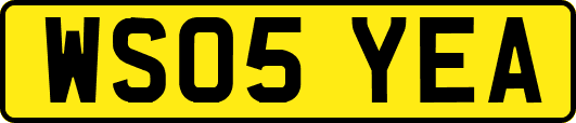 WS05YEA