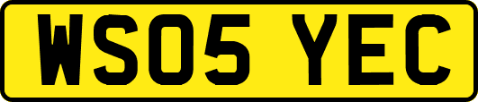 WS05YEC