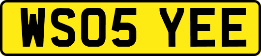 WS05YEE