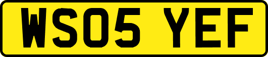 WS05YEF
