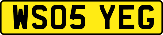 WS05YEG