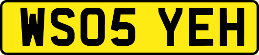 WS05YEH