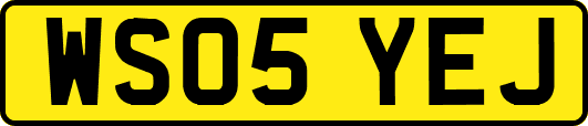 WS05YEJ