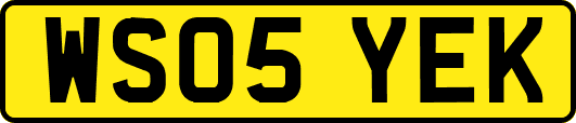 WS05YEK