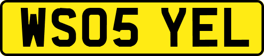 WS05YEL