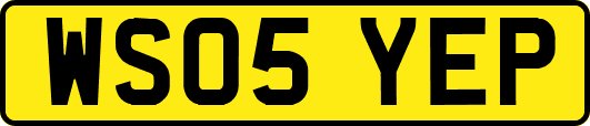 WS05YEP