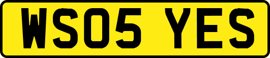 WS05YES