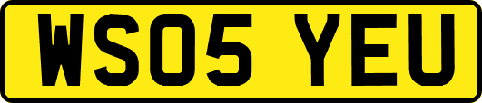 WS05YEU