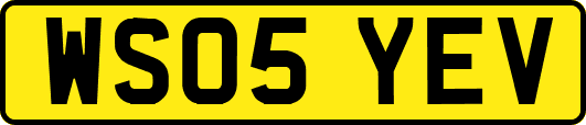 WS05YEV