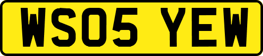 WS05YEW