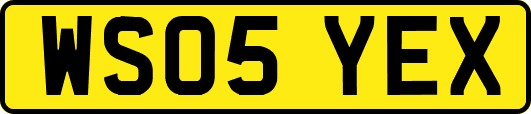 WS05YEX