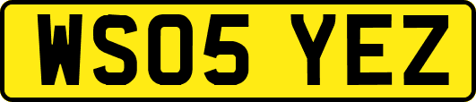 WS05YEZ