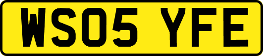WS05YFE