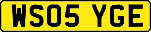 WS05YGE