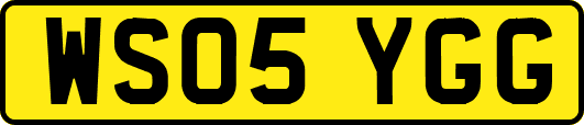 WS05YGG