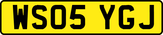 WS05YGJ