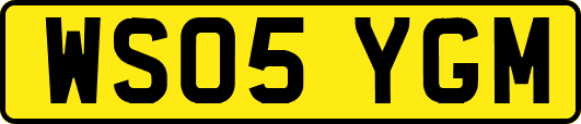WS05YGM