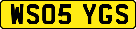WS05YGS