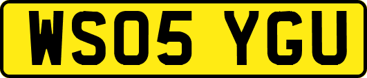 WS05YGU