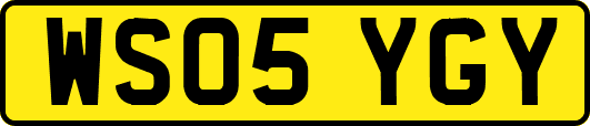 WS05YGY