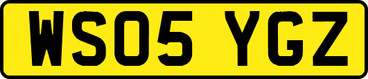 WS05YGZ