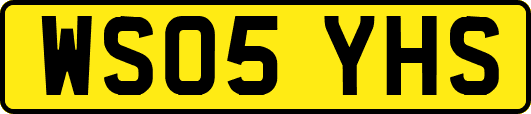 WS05YHS