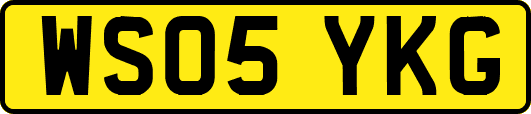 WS05YKG