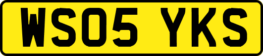 WS05YKS