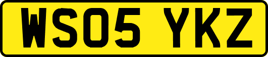 WS05YKZ